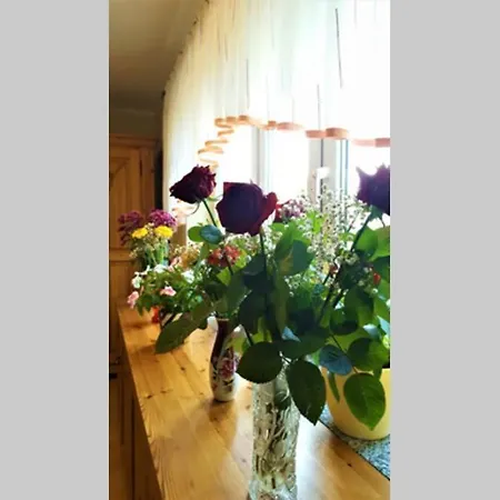 Fewo Radeberg Apartment